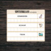 Stempelkaart Sinterklaas - Stempelkaart speelgoed - Scrabble letters