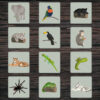 Memory - Jungle dieren - Printable. Memory kaartjes printen. Memory kinderfeestje. Spelletje printen. Spelletje printable. Kinderfeestje activiteiten thuis. Jungle feestje.