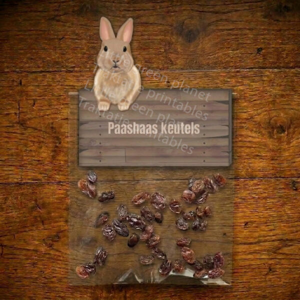 Paas traktatie labels - Paashaas keutels - Printable. Paashaas traktatie. Pasen traktatie. Lente traktatie. Paashaas keutels. Poep traktatie.