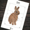 Paas dobbelspel – Set van 7 unieke dobbel puzzels – Printable. Paas spelletje. Paas activiteit thuis, school, kinderopvang, BSO.